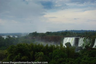 A lone vulture soars over the falls